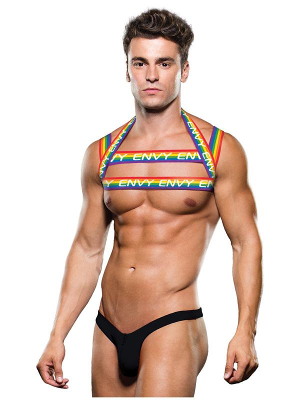 Envy Rainbow Harness LXL BX