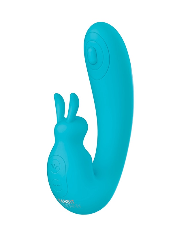 The Internal Rabbit Blue