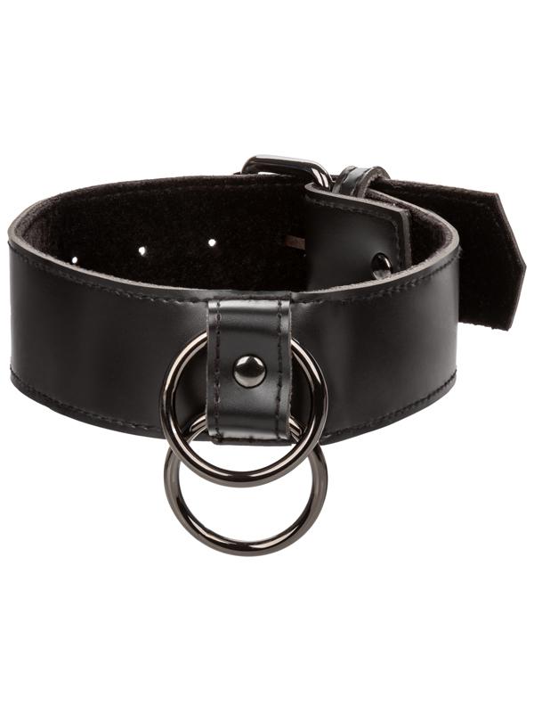 Euphoria Collection Collar With Chain Leash