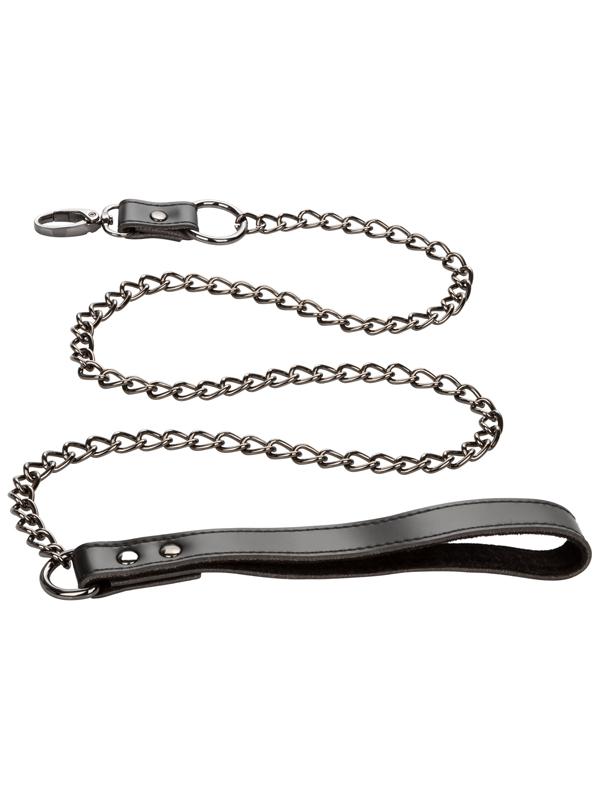 Euphoria Collection Collar With Chain Leash