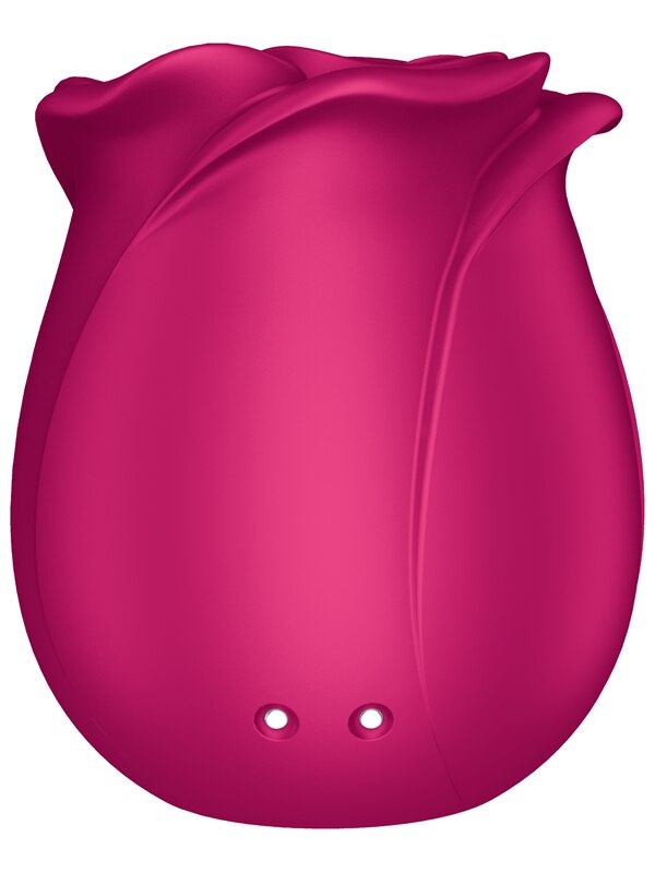 Satisfyer Pro 2 Classic Blossom