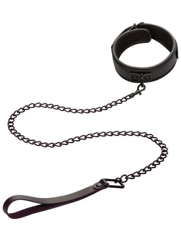 Nocturnal Collection  Collar & Leash