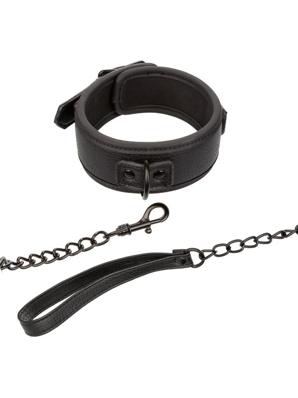 Nocturnal Collection  Collar & Leash