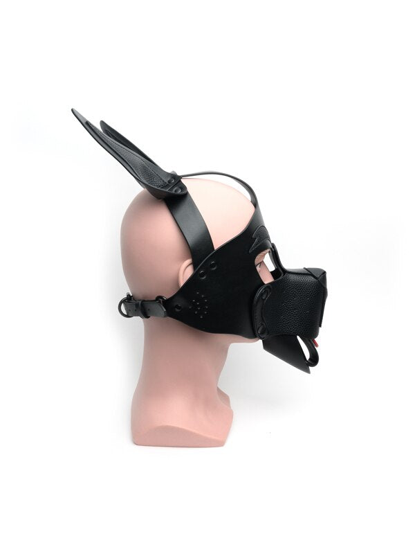 Playful Pup Hood Black