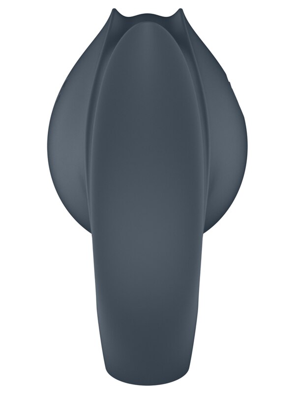Satisfyer Perfect Pair 2