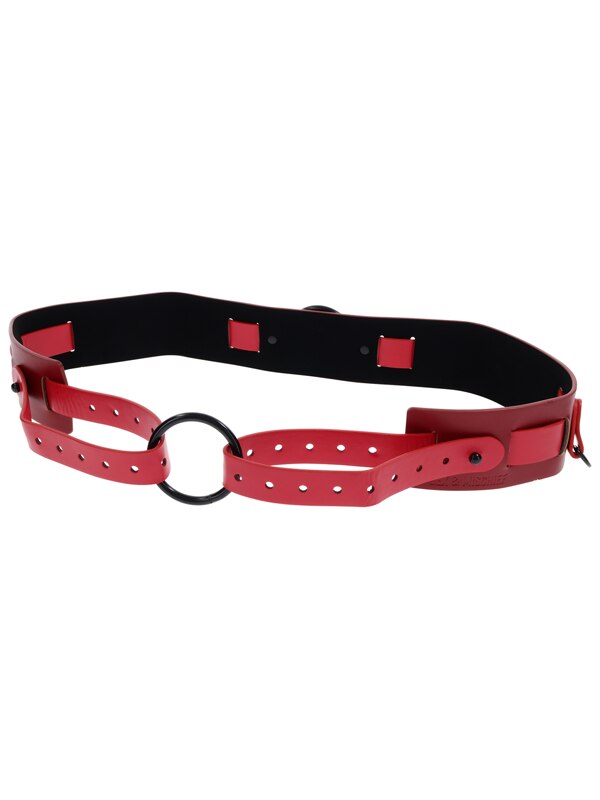 Sex and Mischief Ex's and Oh's Bound and Belted