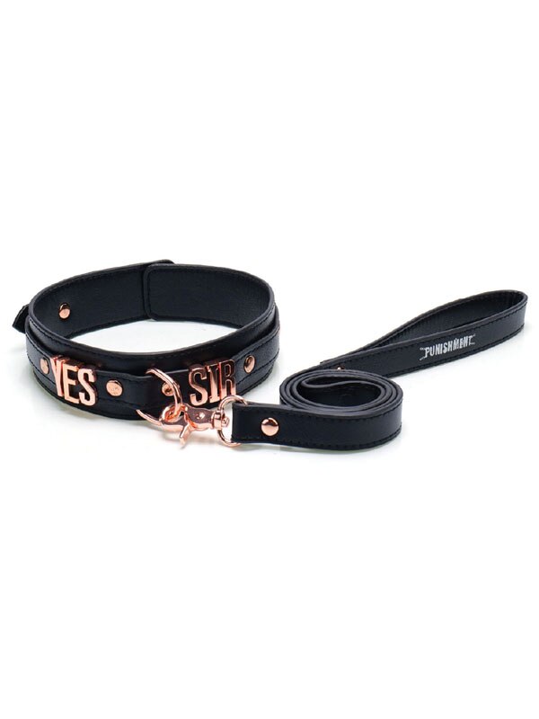 Punishment Rose Gold Yes Sir Collar and Leash