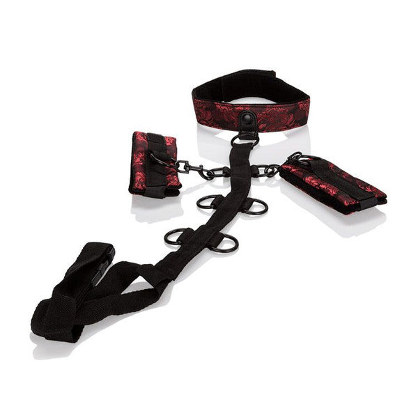 Scandal Collar Body Restraint