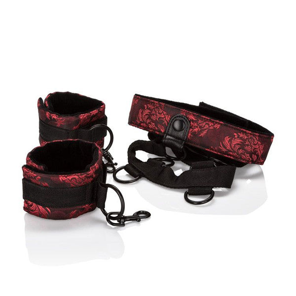 Scandal Collar Body Restraint