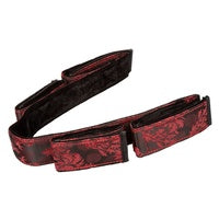 Scandal Bondage Bar Red